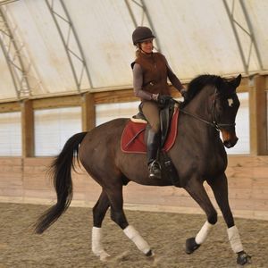 Meet your Posher, Patricia